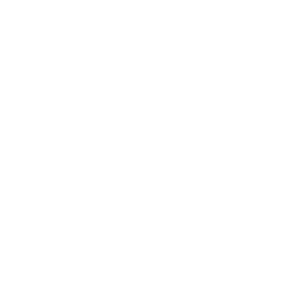 Corrosion resistant low maintenance icon