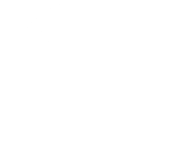Global Export Expertise