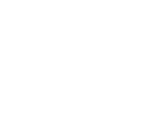 Specialist Engineering Team